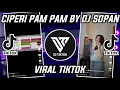 Download Lagu DJ CIPERI PAM PAM BY DJ SOPAN