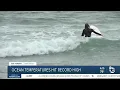 Record ocean temperatures bring humans sea-life to coast