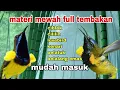 Download Lagu ‼️Materinya Bikin Drop Lawan‼️Masteran Sogon Full Isian Mewah Paling Dicari