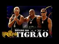 Download Lagu MEDLEY BONDE DO TIGRAO (DJ RALPH GUARUJA)