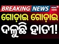 ବାଲେଶ୍ବର ଖଇରାରେ ହାତୀ ଉପଦ୍ରବ | Balasore Breaking News | Elephants Create Chaos in Khaira Area