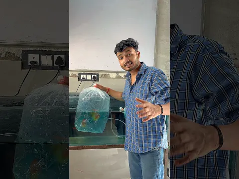 ₹_____ की Triple A Grade Oranda! 😍 Premium Bloodline Fish Unboxing