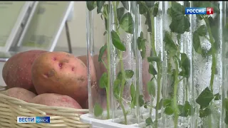 Омские аграрии получат субсидии на развитие производства