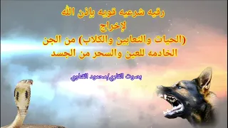 رقيه شرعيه قويه باذن الله لإخراج الحيات والثعابين والكلاب من الجن الخادمه للعين والسحر من الجسد 