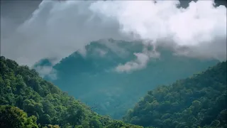 Самая красивая мелодия на свете Для Души Послушайте Волшебная флейта Релакс 