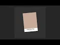 Watching Interface Tan Paint Dry 2 Hours Clapboard Brown Noise Sleep Relax