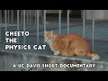 Cheeto The Physics Cat - A UC Davis Short Documentary
