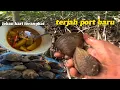 Download Lagu CARI LOKAN DI PORT BARU⁉️HASIL TERUS DIMASAK#lauk#lokan#persisiranpantai
