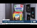Cornerstone Bakery accepting donations for Delano K-9 recovering from being shot