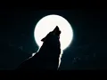 TUĞRUL BEKTAŞ ft. ORTAQ x CASH FLOW x LEF x KAISA NATRON - MADE IN TÜRKİYE [Visualizer Music Video]