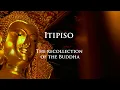 Download Lagu Chant, Homage to the Buddha