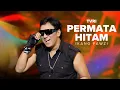 Download Lagu PERMATA HITAM - IKANG FAWZI | Performance at TVRI