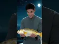 🔥眾人都笑兄妹幾人走投無路，破船出海巧遇神龍，踏入蓬萊開啟趕海暴富之路#短剧#精彩短劇推薦#逆襲#打臉爽劇#一口氣看完 #cdrama