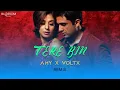 Download Lagu Tere Bin -  Ft. Atif Aslam | AMY X VOLTX | Bas Ek Pal | Mithoon | Melodic House