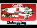 Cakephp4 Debugging Part-09 How To Use Pr Print - r dd debug pj dump Functions In Cakephp