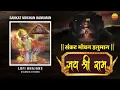 Lofi Version | With Lyrics-संकट मोचन हनुमान | Sankat Mochan Hanuman | Rasraj Ji Maharaj