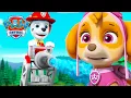 Download Lagu Skye salva al alcalde Humdinger de unos cubitos de hielo gigantes 🧊🐾 | PAW Patrol | Episodio Español