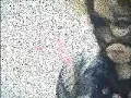 i cannot help myself - Kyo tribute