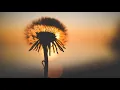 Sigma - Stay
