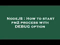 NodeJS How to start pm2 process with DEBUG option