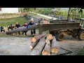 Lagu Een enorme boom omhakken en naar een zagerij vervoeren om er planken van te zagen voor het dak - Een huis bouwen
