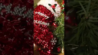 A Christmas Tree on a BOAT!