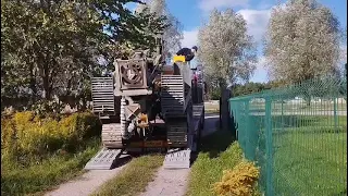                             دندنها
