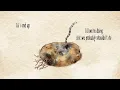 Sara Beth - Old Potatoes (Official Lyric Video)