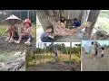 Download Lagu dibikin haru melihat semangat si kecil full aktif membantu ayah bunda nya di kebun