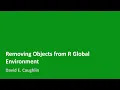 Removing Objects from R Global Environment