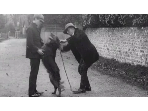 The Dog Detective (aka £100 Reward)