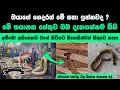 Download Lagu අම්මෝ මෙයාලා ගැන මේදේවල් නොදැන හිටියොත් ජීවිතේම අනතුරේ Abirahas Gaweshanaya Success Story
