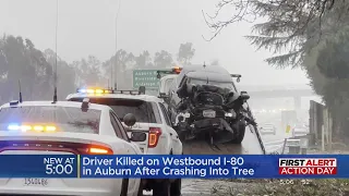 Driver killed after crashing into tree in Auburn