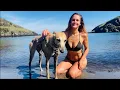 Download Lagu Sea, Swimming and Sun ☀️ A Perfect Spring Adventure with a Greyhound