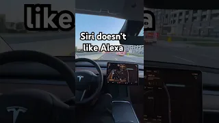 Siri Doesn T Like Alexa Funny Comedy Siri Alexa Echo Apple Amazon 