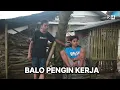 Download Lagu KONCI | KOMEDI NGAPAK CILACAP | PENGIN KERJA