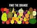 Download Lagu Temukan Buah - Pertunjukan Gambar Anak-Anak (Video Pembelajaran yang Menyenangkan \u0026 Edukatif)