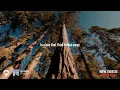 Ed Sheeran - Old Phone | Lyrics