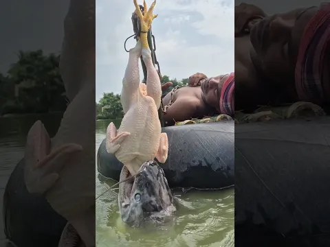 Village pond fishing using salf made boat using whole chicken trap #fishing #shorts #trap_fishing