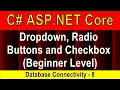 Beginner Level Dropdown Radio Buttons and Checkbox Database Connectivity - 8 ASP NET Core 5