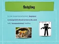 Level B Unit 7 Vocabulary Lesson