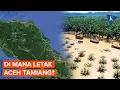 Di Mana Letak Aceh Tamiang? Wilayah yang Terdampak Parah Banjir Bandang