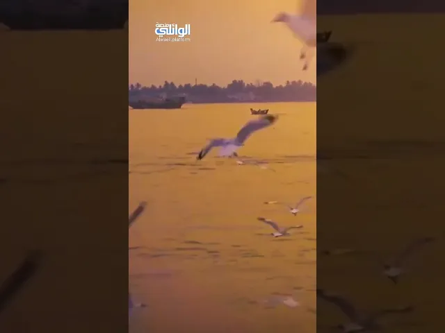 ⁣انصف الناس اياك والظلم | د.احمد الوائلي
