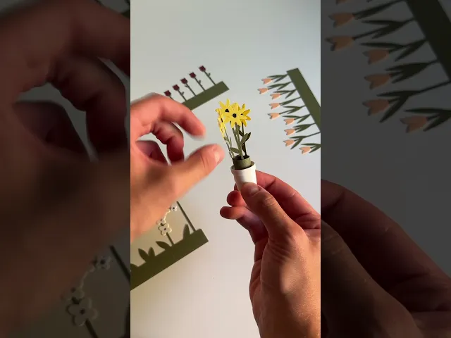 Flora Collection, fridge magnets. video thumbnail