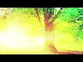 Download Lagu LAGU SUNDA BALI JAWA TRADITIONAL INSTRUMENTAL RELAXING MUSIC