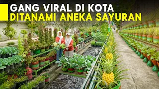 AJAIB! BERKAT 1.000 GALON BEKAS DI ATAS SELOKAN, WARGA TINGGAL PETIK SAYUR & IKAN TIAP HARI