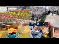 Download Lagu #12 Japan Vlog: ☆ Hanami Picnic ☆ Acai Bowl  at Kona’s ☆