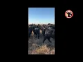 385 of TDA Verified Steers Heifers Selling Hub City Livestock