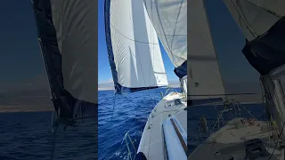 MINI TUTO : « Virer de bord », ça veut dire quoi et comment on fait ? 🧐⛵️