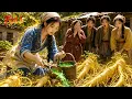 Reborn During A Famine Poor Girl Uses Magic To Grow A Priceless Herb Turns Her Life Around
